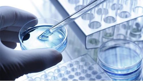 龍池牡丹 緊抓二產，深挖科研，以技術服務驅動牡丹精品駛入市場藍海