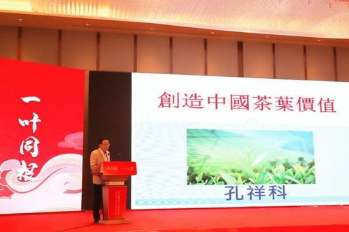 兩岸茶香，技藝同輝——福安兩岸茶文化傳承發展與產業交流盛會