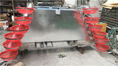 甘肅鵪鶉養殖設備選購指南 專業廠家與籠具技術解析